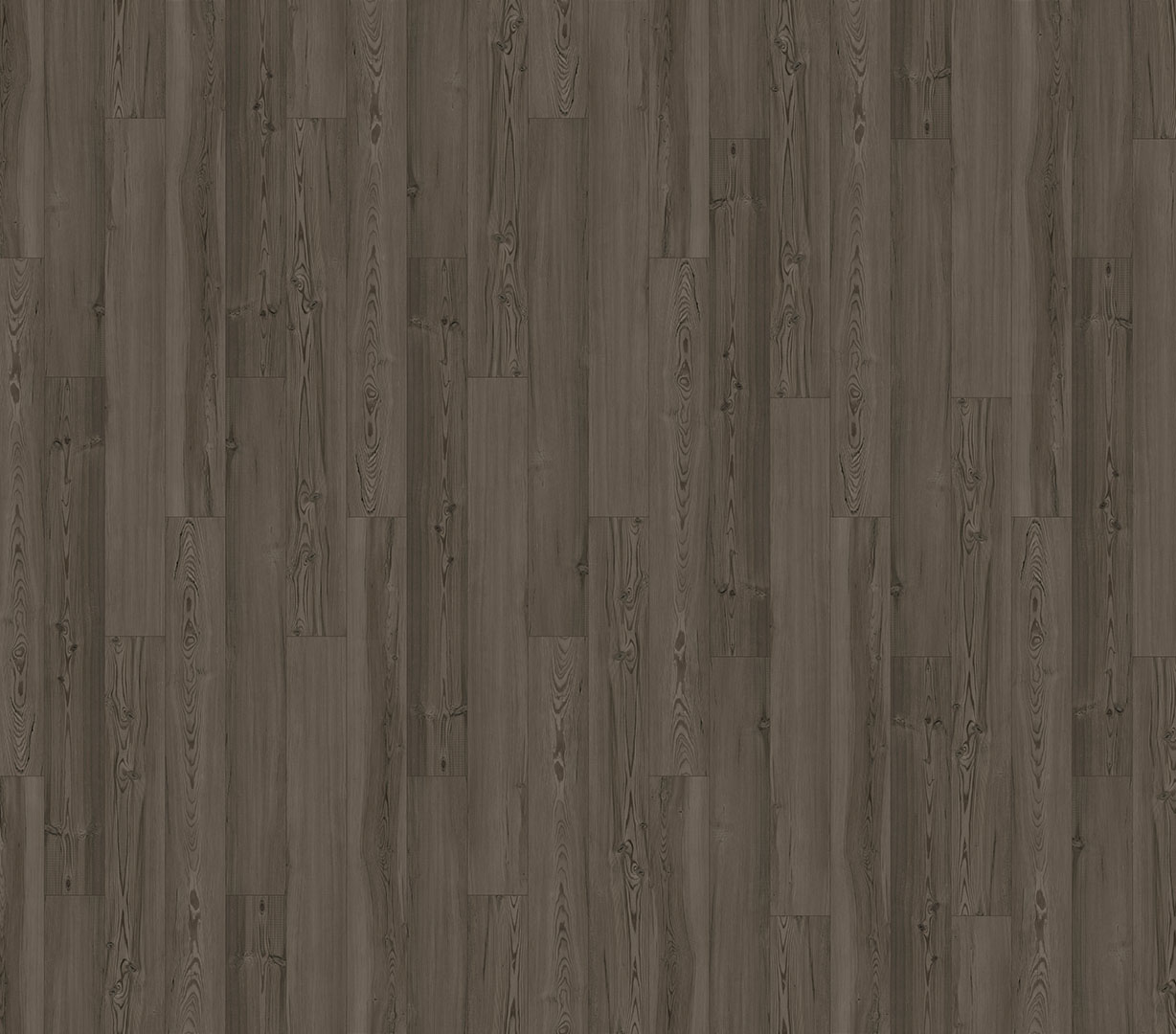 Cypress Pine 699D BFUSA_detail